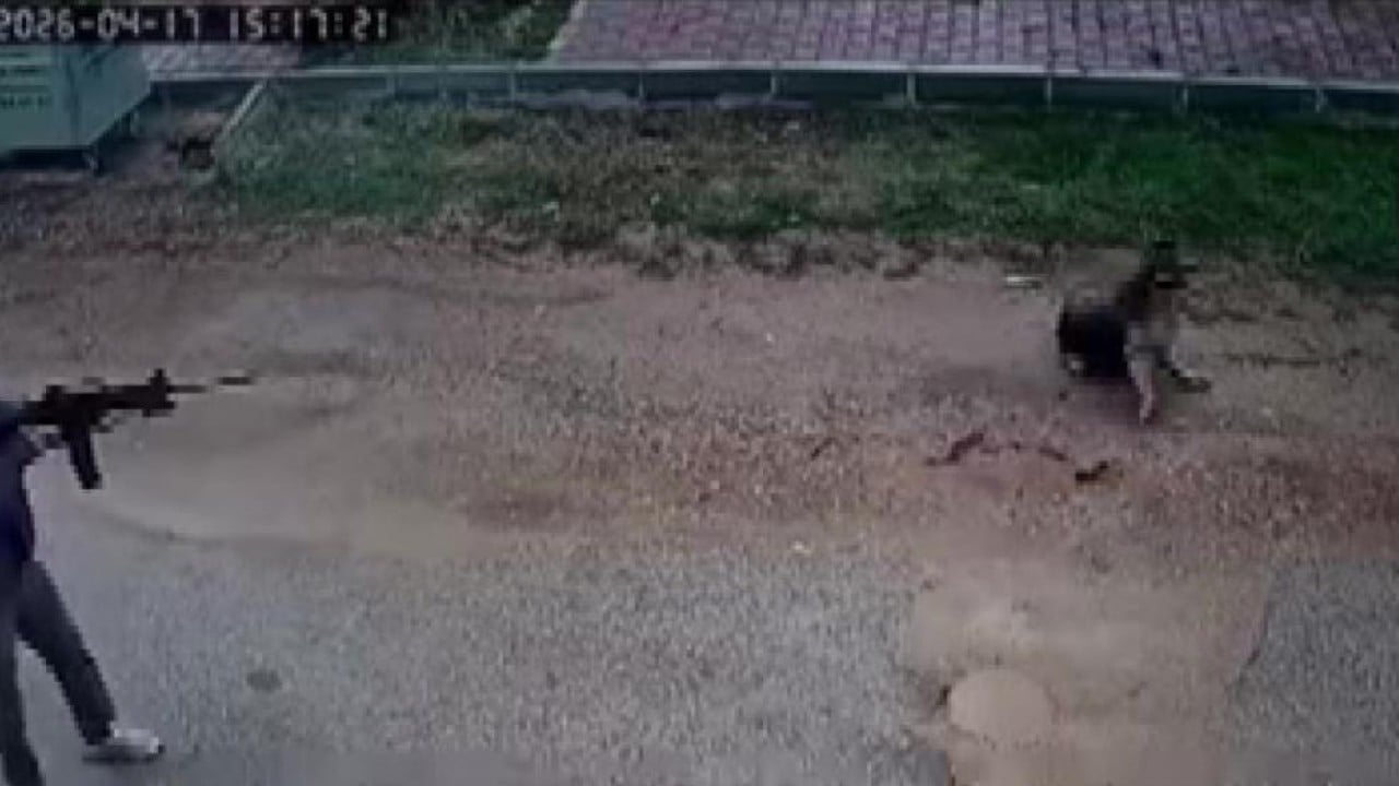 Foto - Şehir kovboyu kavga eden sokak köpeğini öldürdü