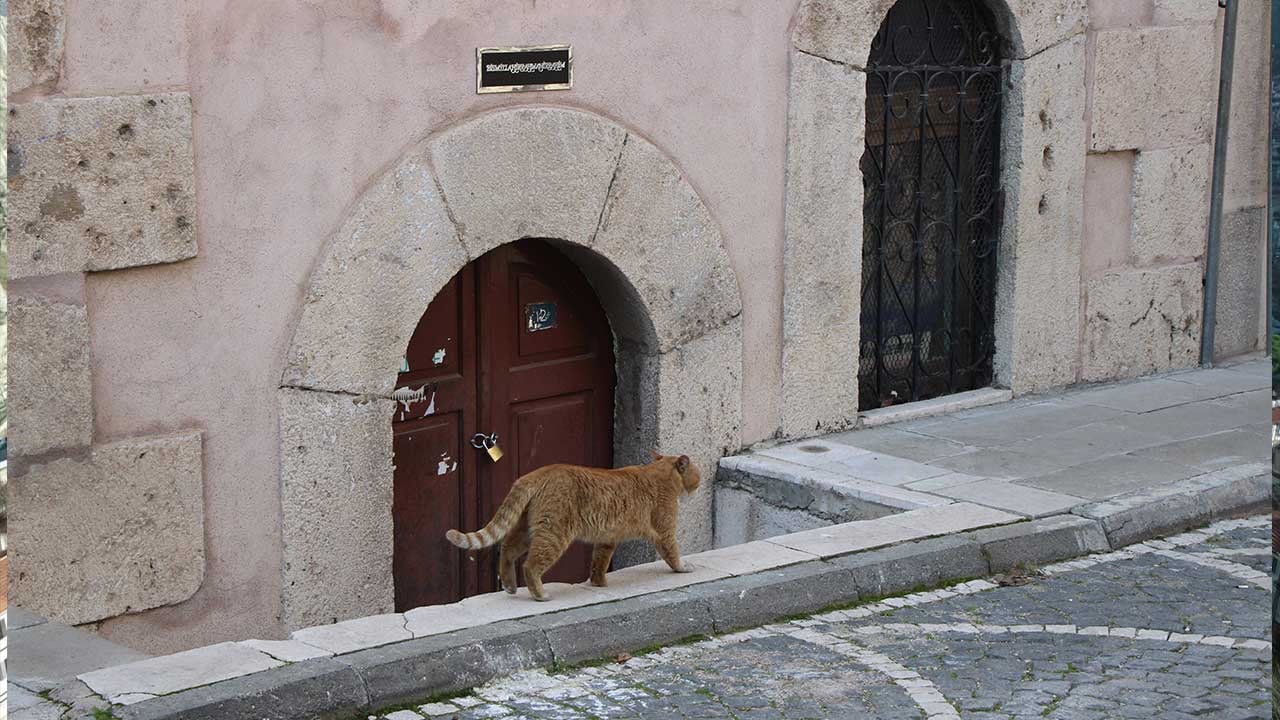 Foto - Şehzadeler şehrinde 9 türbeye kilit vuruldu! Sebebi 'yok artık' dedirtecek