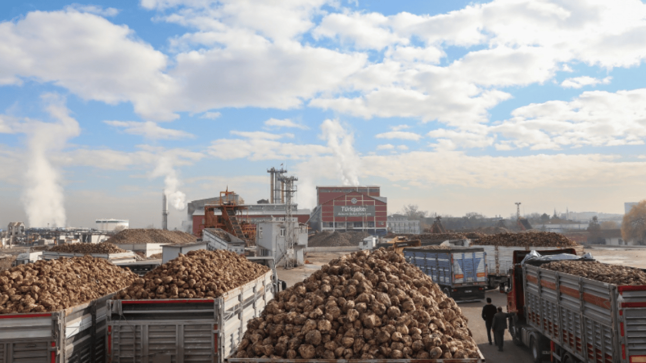 Foto - 'Şeker fabrikaları satıldı' iddialarına Türkşeker'den rekorla yanıt geldi! 936 bin ton şeker üretildi...