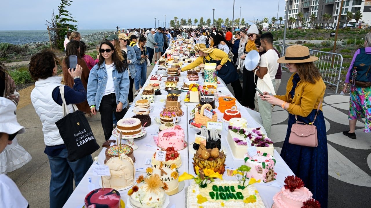 Şeker gibi festival! Binlerce pastayla piknik yaptılar