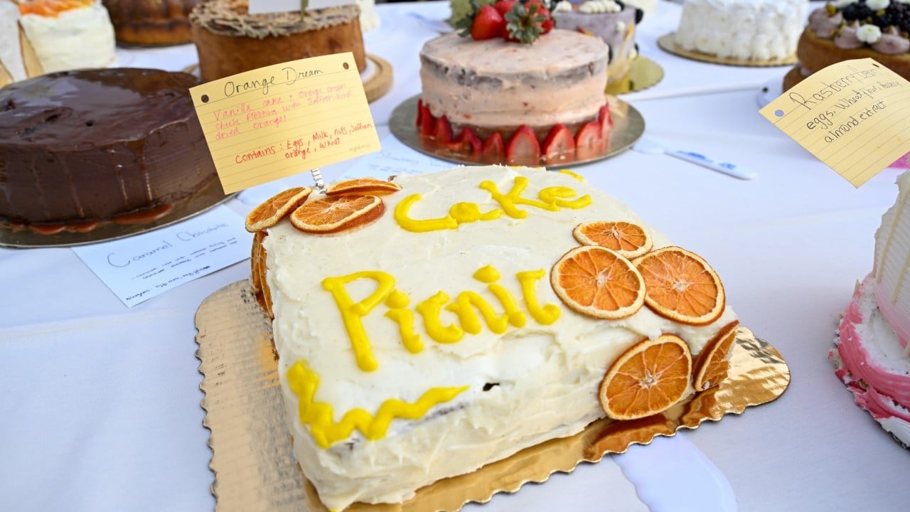 Foto - Şeker gibi festival! Binlerce pastayla piknik yaptılar