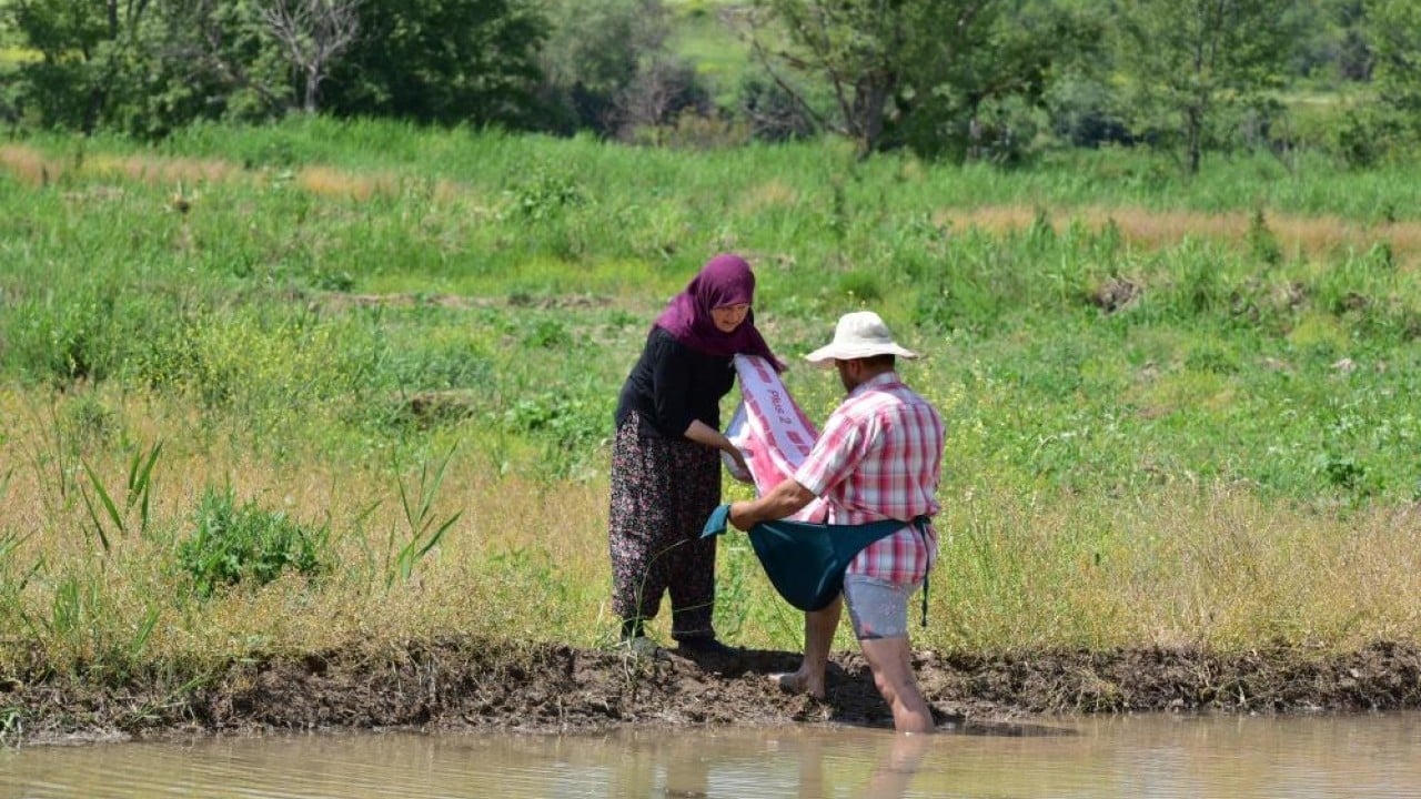 Foto - Şeker hastalarının tercihi Tosya'nın Sarıkılçık'ı suyla buluştu