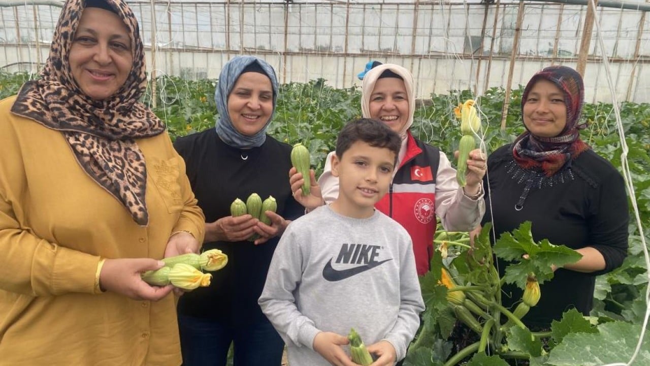 Foto - Serasında üretip hem ihraç ediyor hem pazarda satıyor