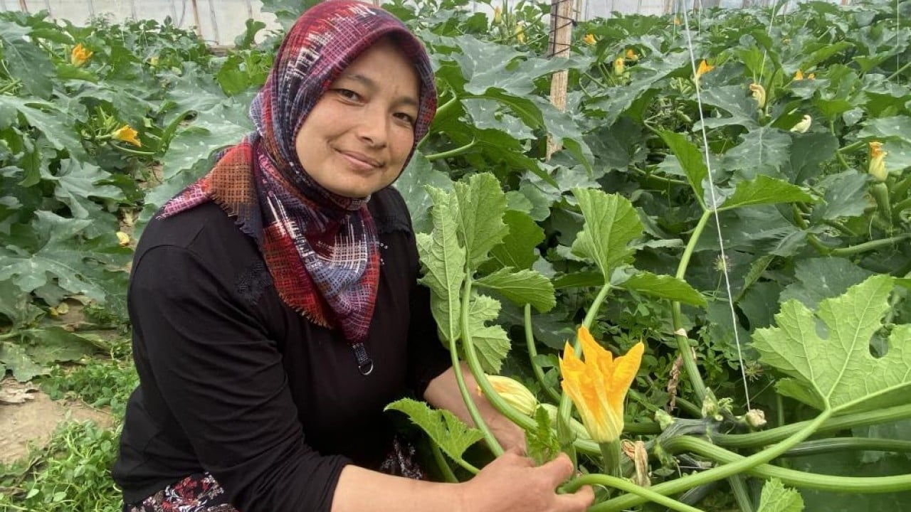 Foto - Serasında üretip hem ihraç ediyor hem pazarda satıyor