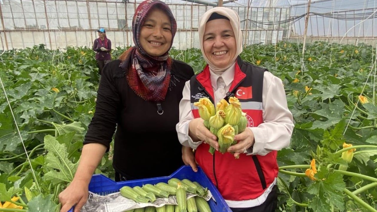 Serasında üretip hem ihraç ediyor hem pazarda satıyor