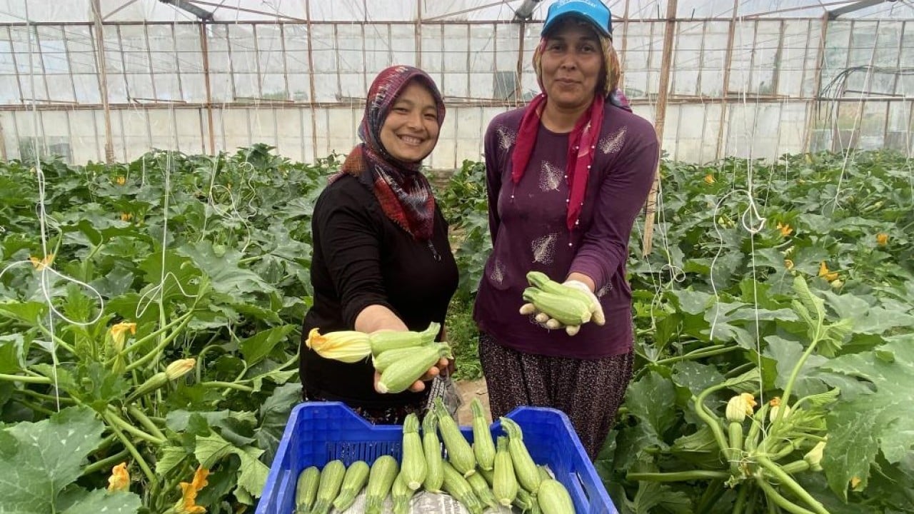 Foto - Serasında üretip hem ihraç ediyor hem pazarda satıyor