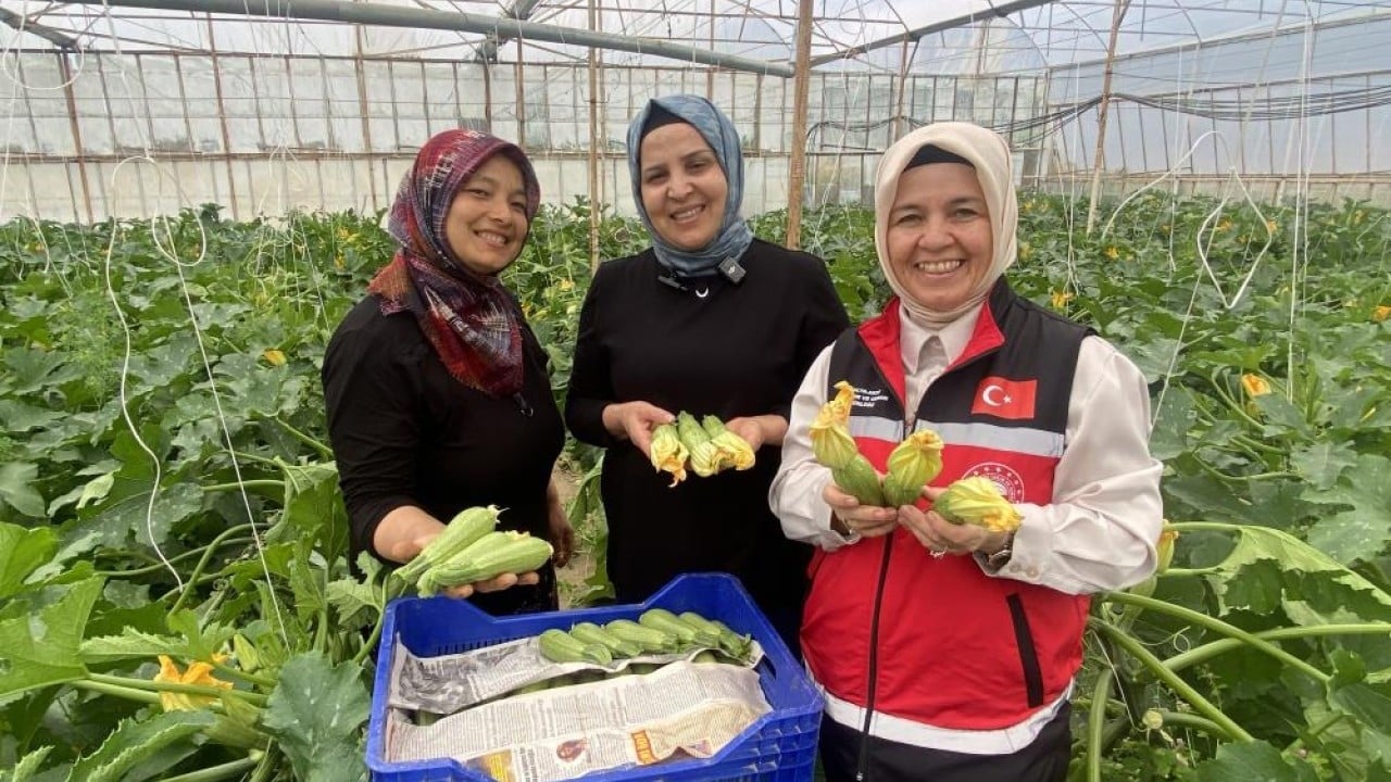 Foto - Serasında üretip hem ihraç ediyor hem pazarda satıyor