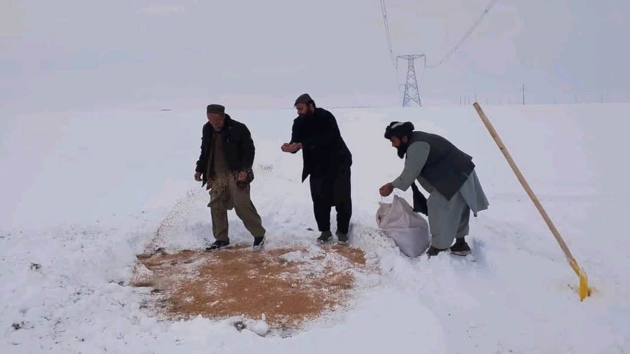 Foto - Şeriat’ın güzelliği… Devletin örnek davranışını tüm dünya ayakta alkışladı