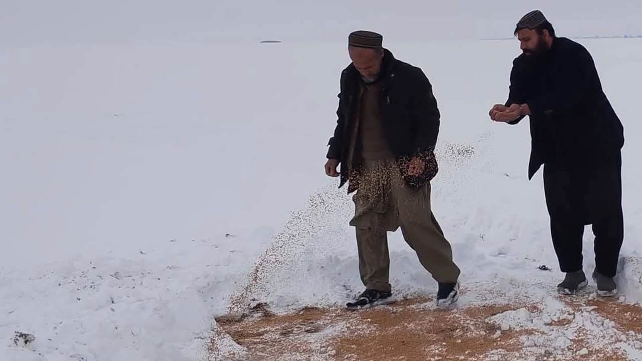 Foto - Şeriat’ın güzelliği… Devletin örnek davranışını tüm dünya ayakta alkışladı