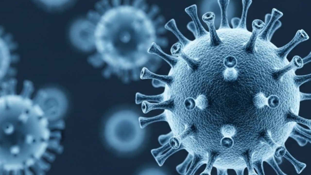 Foto - Sessiz alarm yeniden hortladı: Hindistan'da yayılan ölümcül virüs kapıda mı?