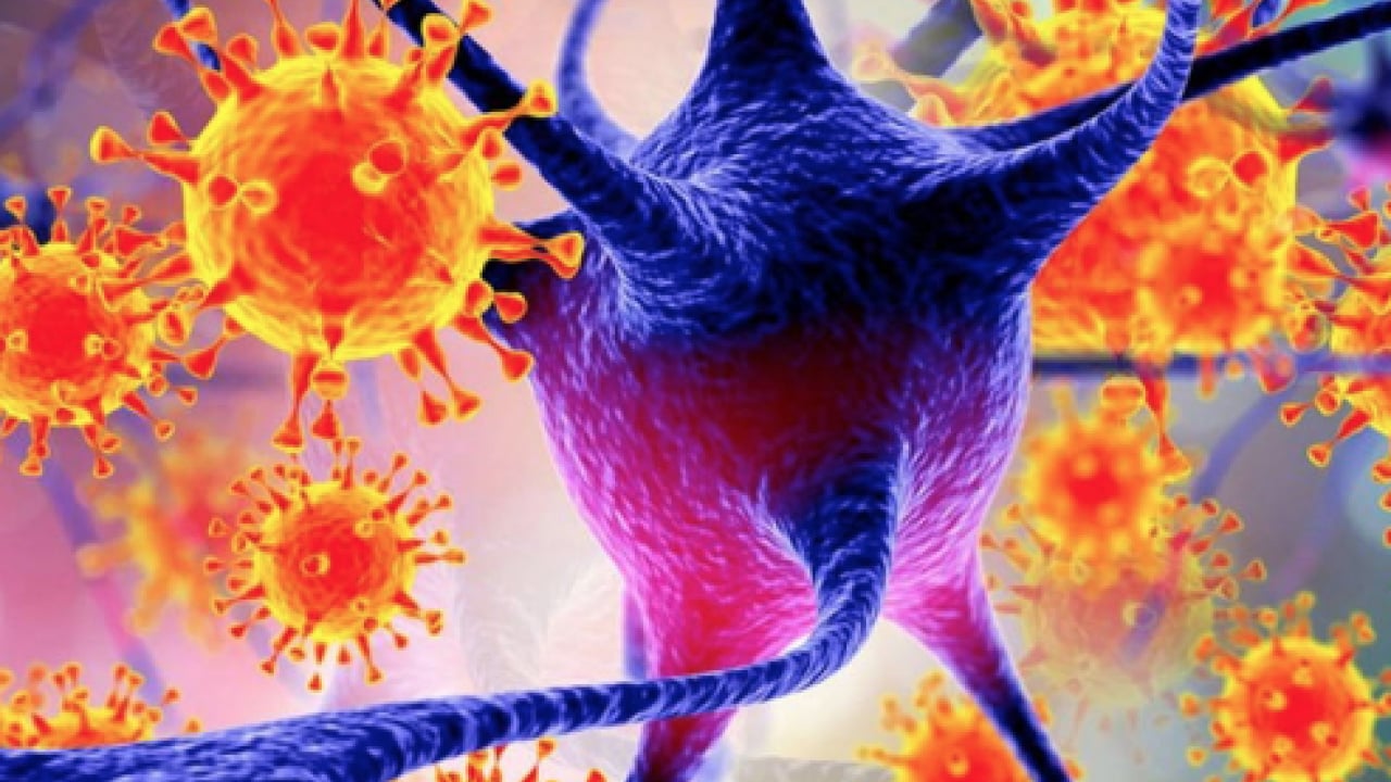 Foto - Sessiz alarm yeniden hortladı: Hindistan'da yayılan ölümcül virüs kapıda mı?