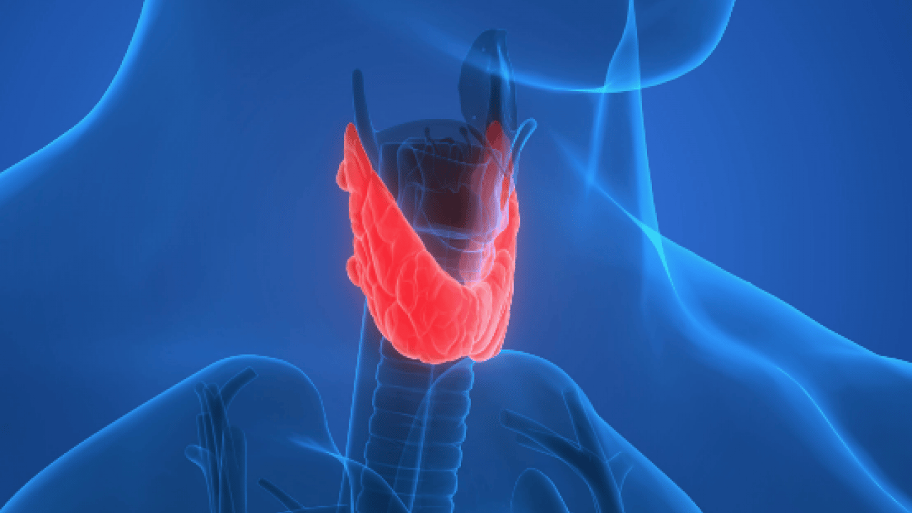 Foto - Sessiz ilerliyor! Bunu yapmak basit: Tiroit sağlığı için herkes kilosuna dikkat etsin!