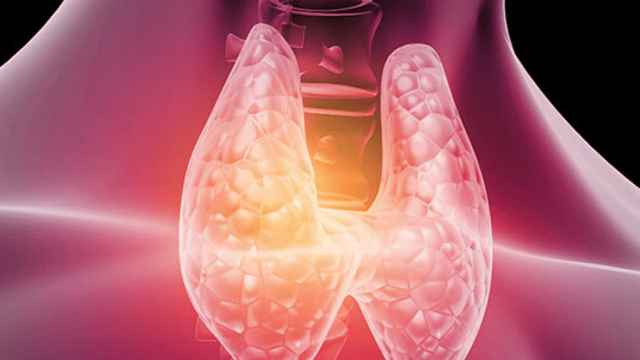 Foto - Sessiz ilerliyor! Bunu yapmak basit: Tiroit sağlığı için herkes kilosuna dikkat etsin!