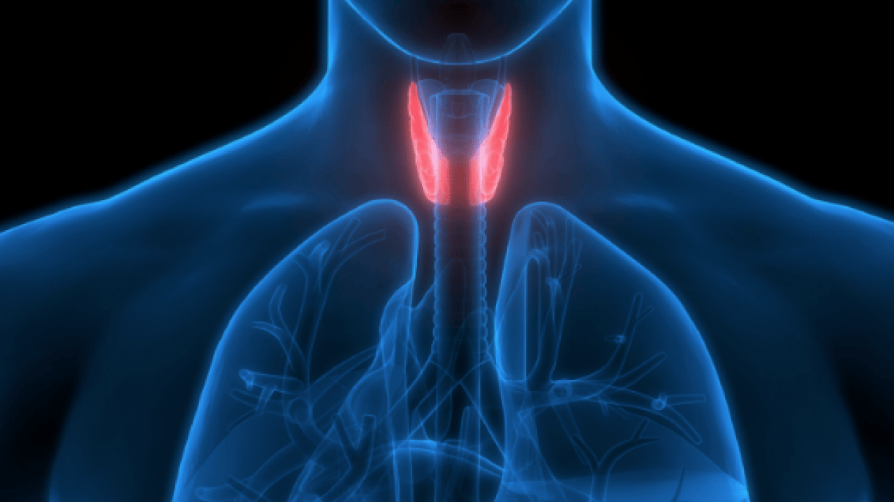 Foto - Sessiz ilerliyor! Bunu yapmak basit: Tiroit sağlığı için herkes kilosuna dikkat etsin!