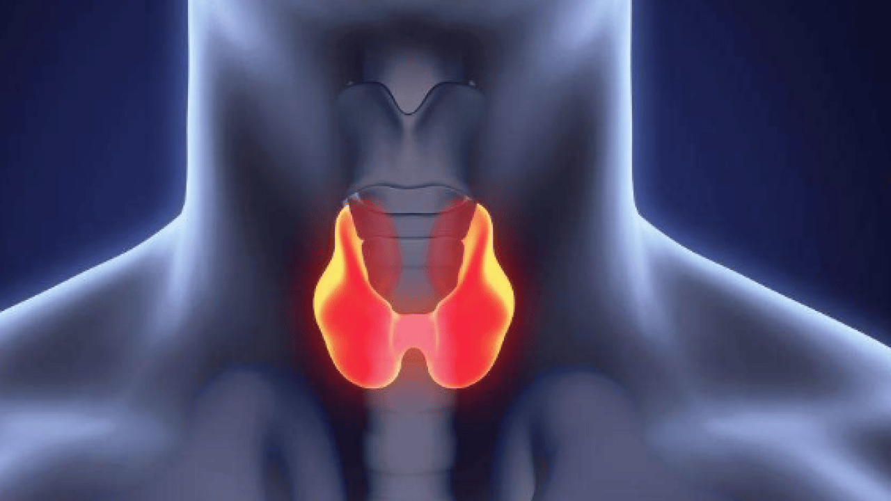 Foto - Sessiz ilerliyor! Bunu yapmak basit: Tiroit sağlığı için herkes kilosuna dikkat etsin!