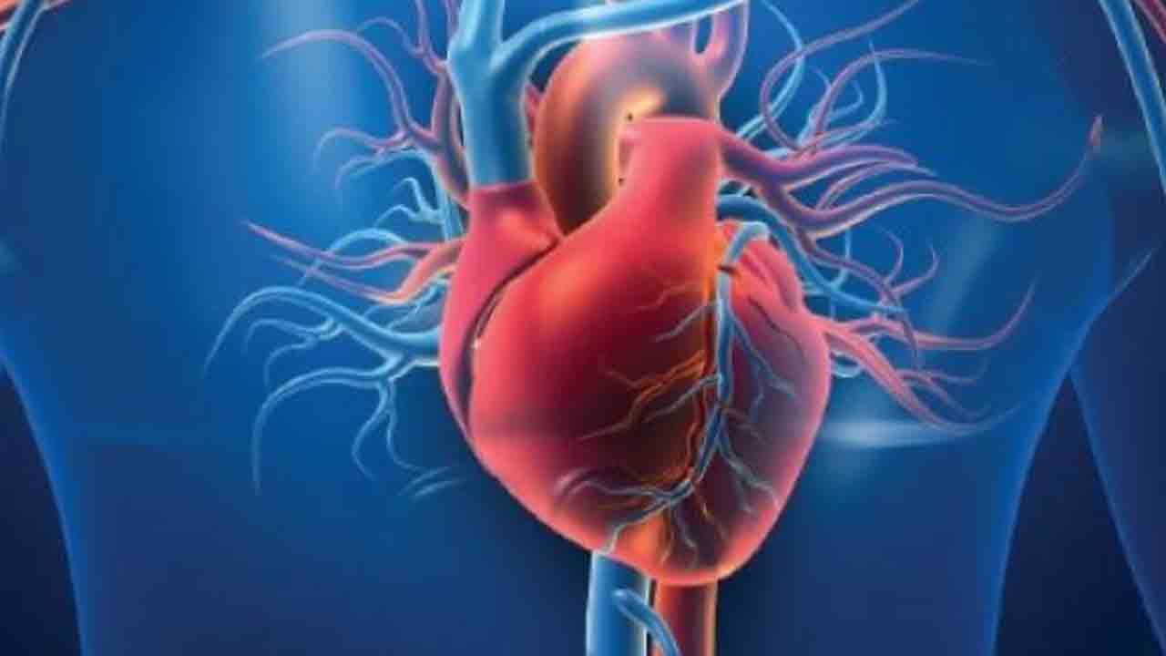 Foto - Sessiz kalp krizi çoğu zaman fark edilmiyor!