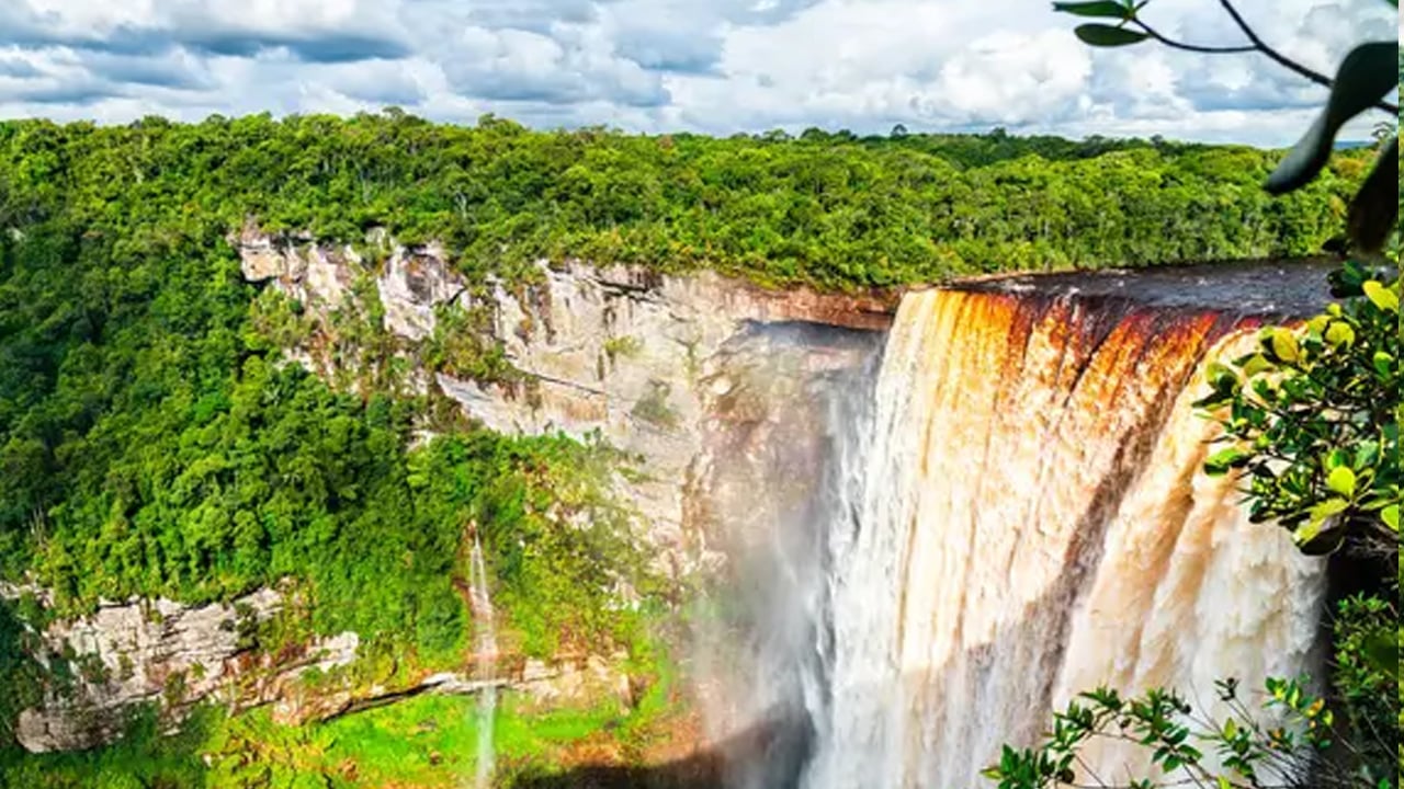Foto - Sessiz sedasız büyük değişim: İklim krizi ağaç çeşitliliğini yeniden şekillendiriyor! Şok veriler sarstı