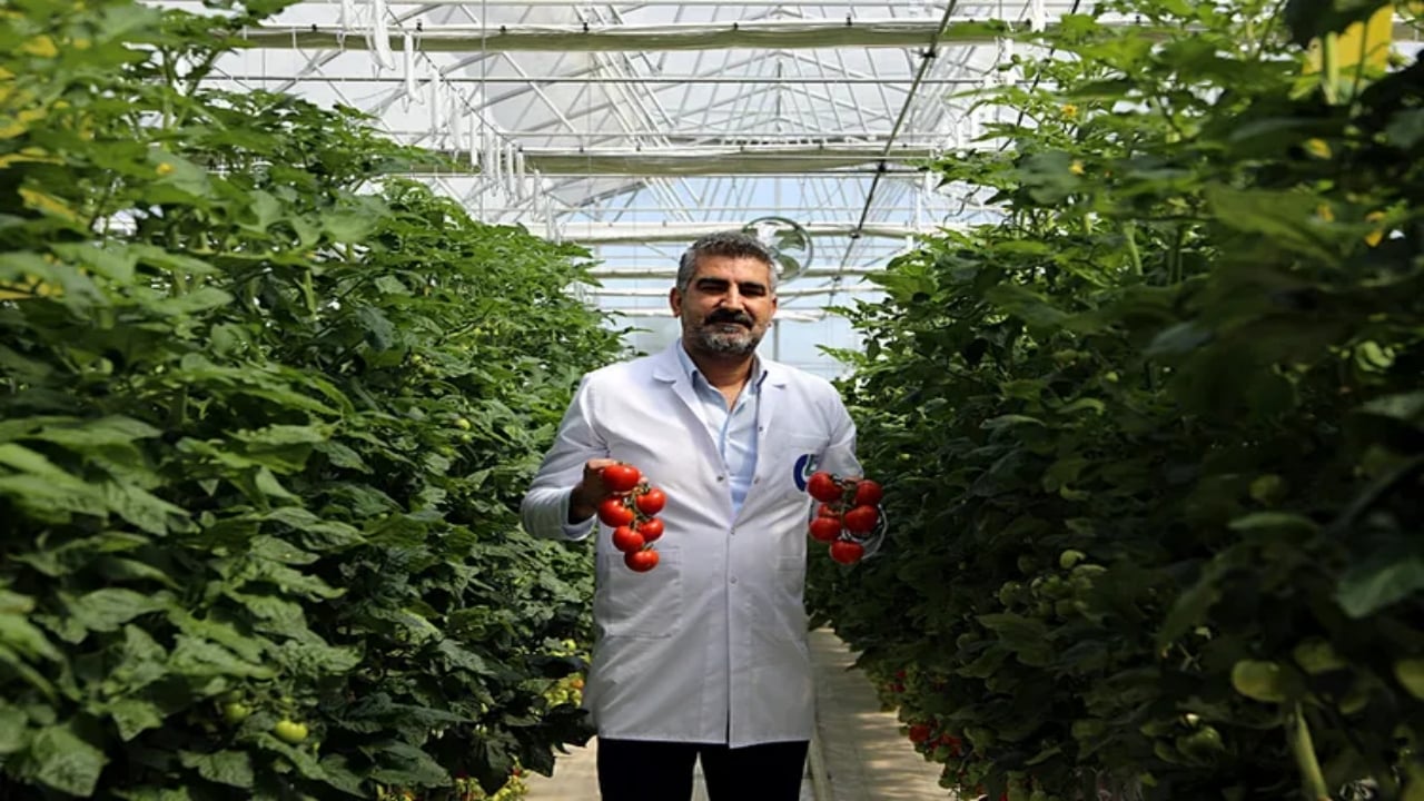 Foto - Sessiz sedasız karar alındı! 65 yaş üstüne ücretsiz dağıtılacak