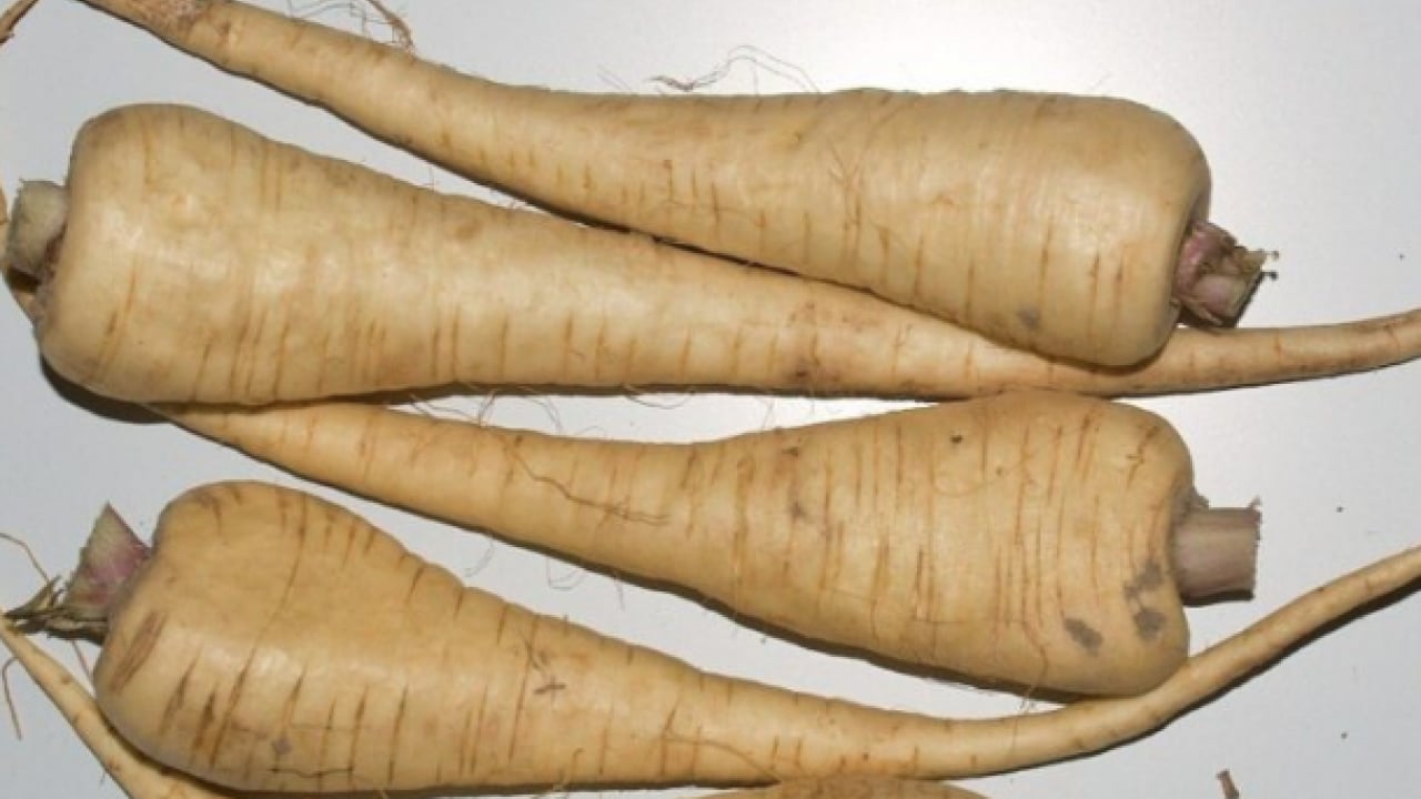 Foto - Sessiz şifa kaynağı gıda hakkında bilinmeyen gerçek: Bağırsakları ve ruh halini böyle etkiliyor