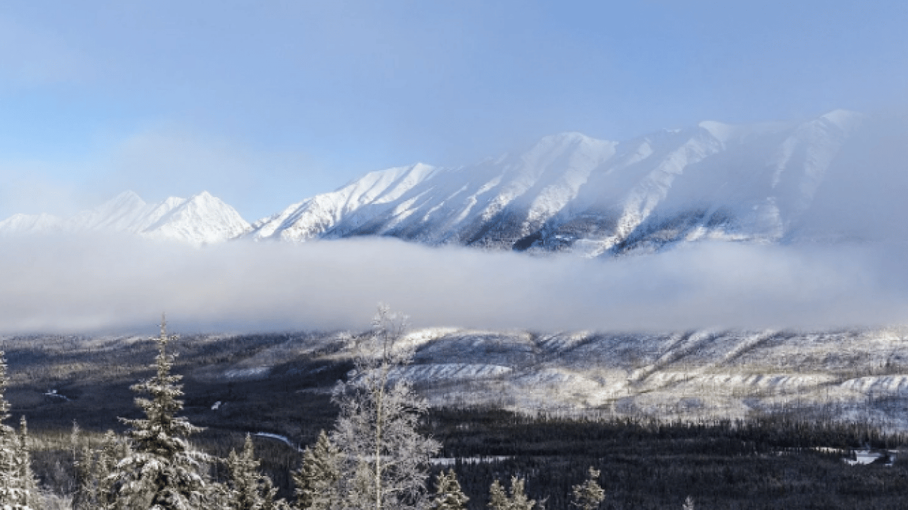 Sessiz tehlike giderek büyüyor