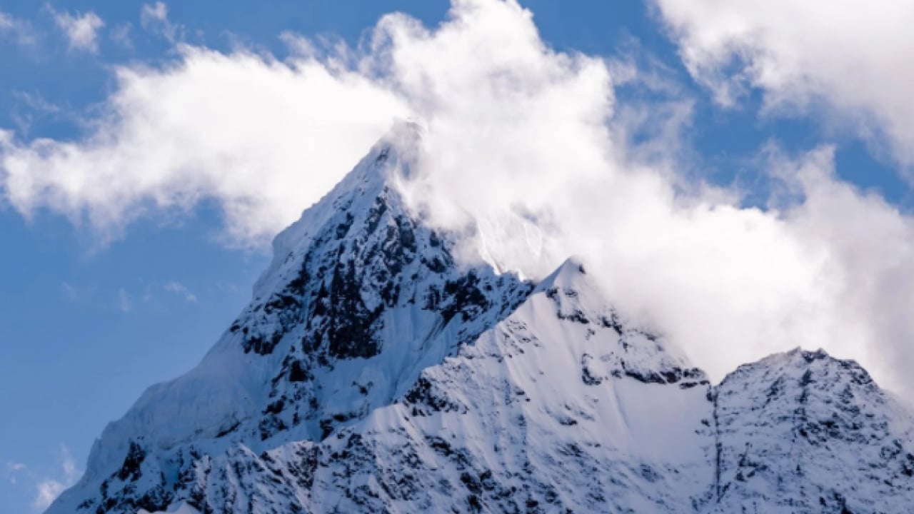 Foto - Sessiz tehlike giderek büyüyor