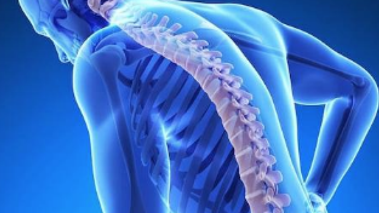 Foto - Sessiz tehlike: Osteoporoz! Kemik erimesi olayının ehemmiyetini algılamalısınız...