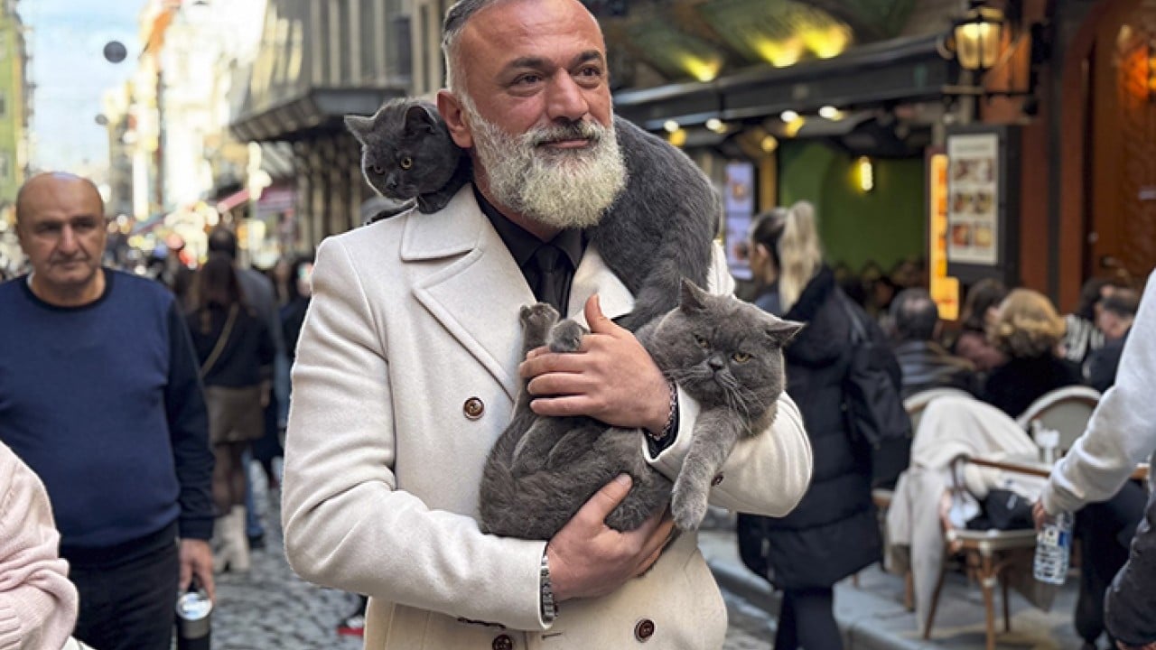 Foto - Seyyah Kedi'den yavrusuna omuzda İstanbul turu