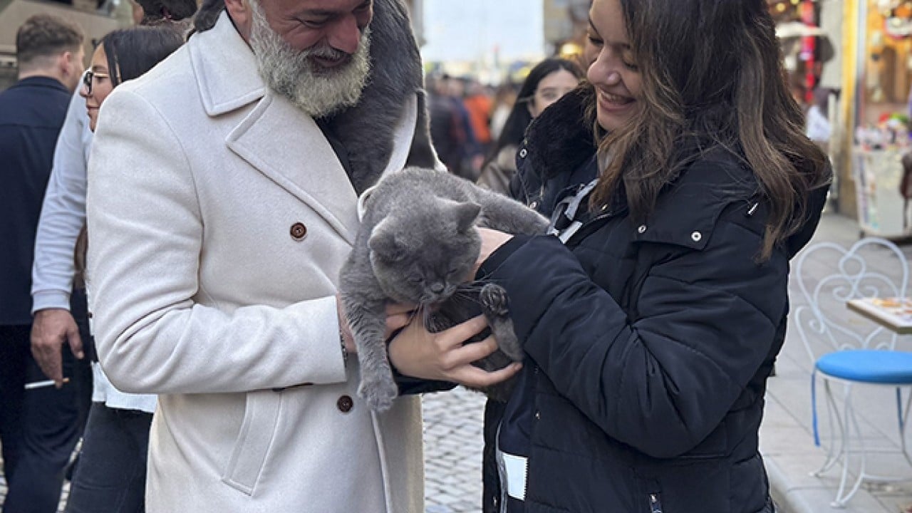 Foto - Seyyah Kedi'den yavrusuna omuzda İstanbul turu