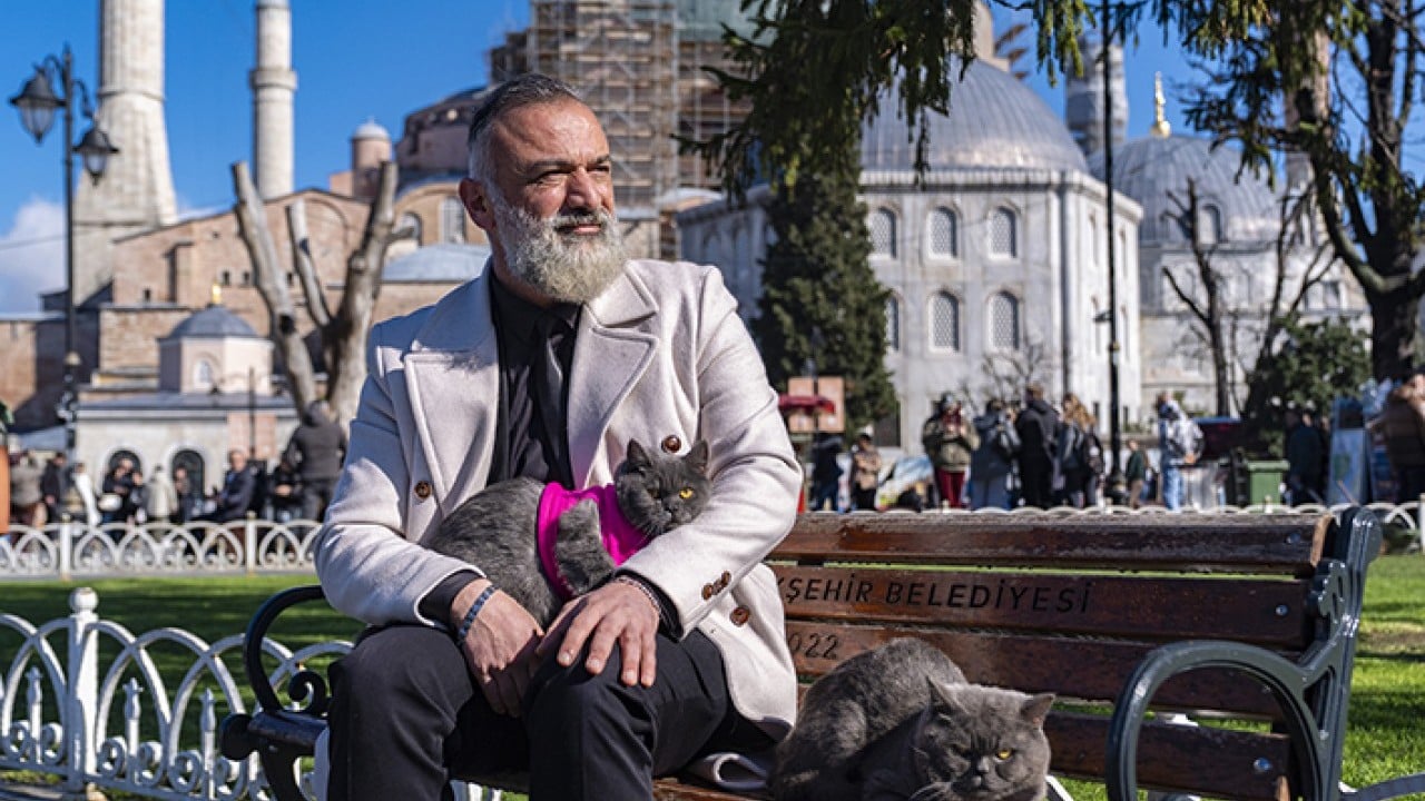 Foto - Seyyah Kedi'den yavrusuna omuzda İstanbul turu