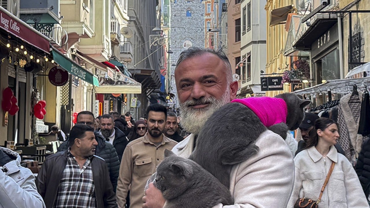 Foto - Seyyah Kedi'den yavrusuna omuzda İstanbul turu