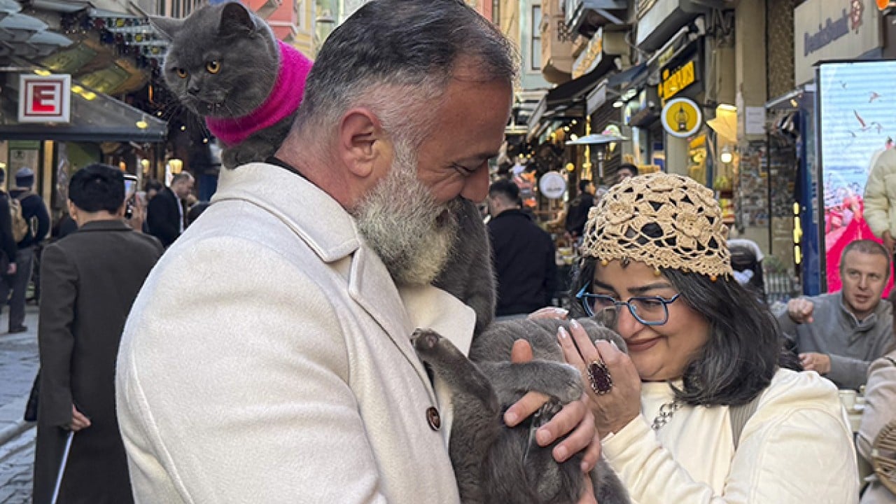 Foto - Seyyah Kedi'den yavrusuna omuzda İstanbul turu