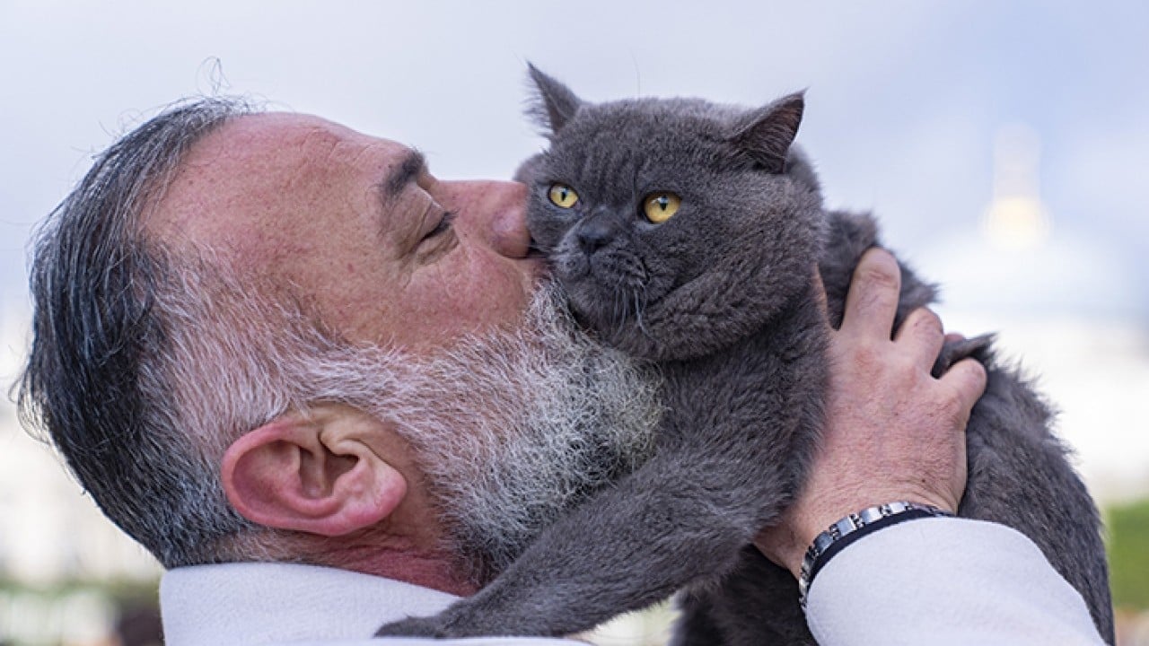 Foto - Seyyah Kedi'den yavrusuna omuzda İstanbul turu