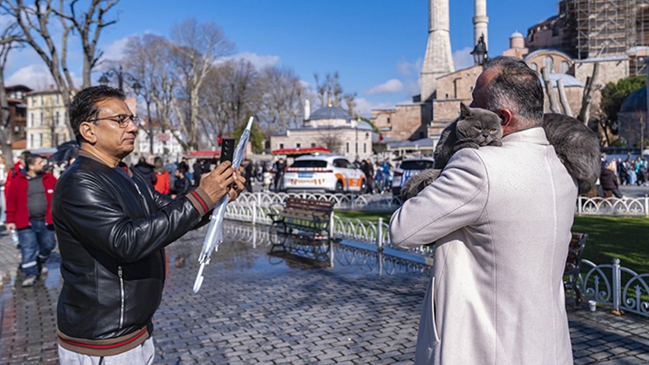 Foto - Seyyah Kedi'den yavrusuna omuzda İstanbul turu