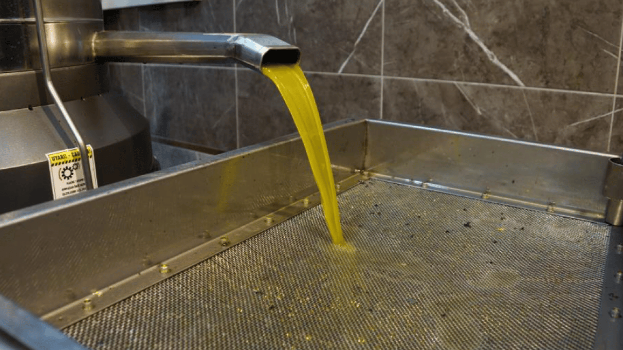 Sezon hareketliliği zamla geldi! Zeytinyağı fiyatları açıklandı