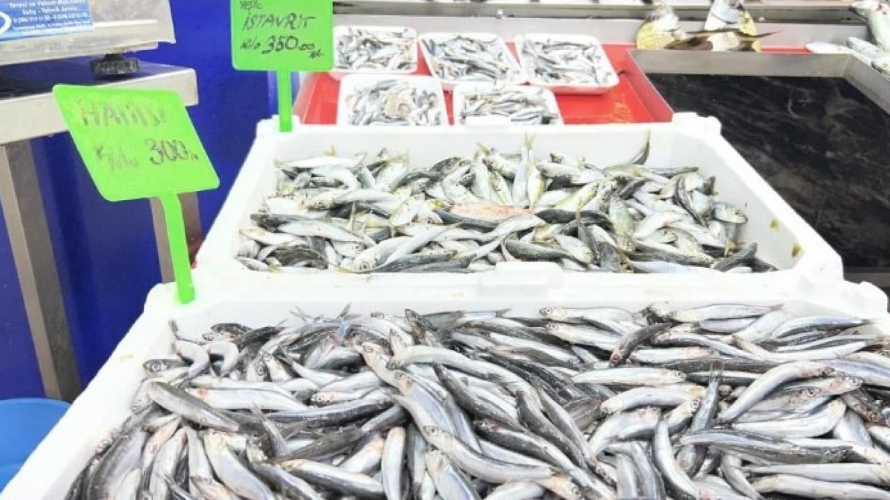 Foto - Sezonun gözdesi tezgahta! Kilosu 900 TL'ye satılıyor