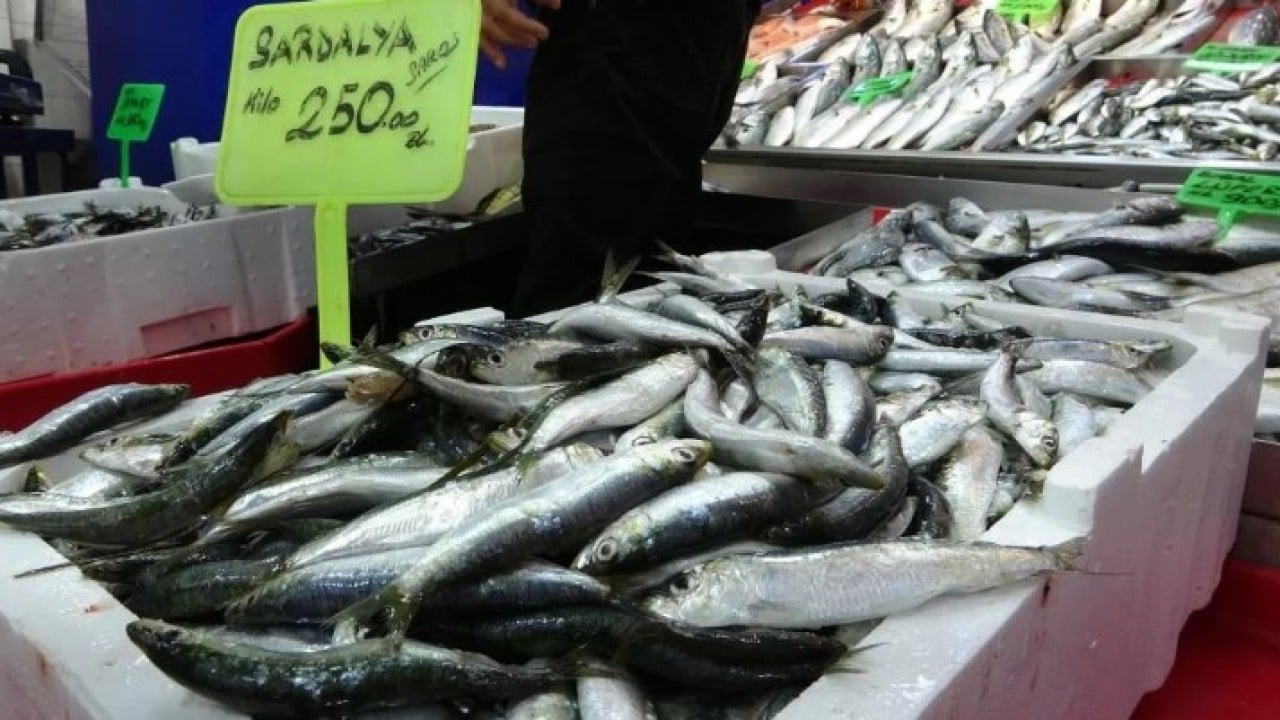 Foto - Sezonun gözdesi tezgahta! Kilosu 900 TL'ye satılıyor