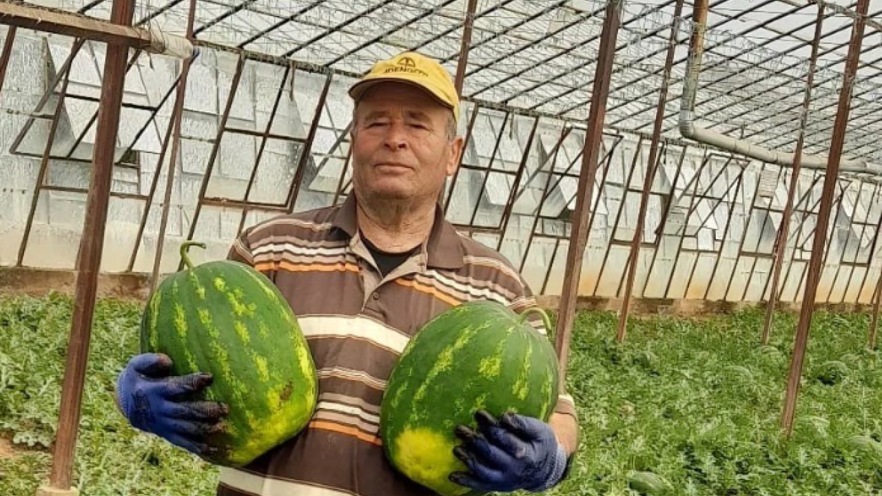 Foto - Sezonun ilk karpuzu kilosu 40 liradan alıcı buldu