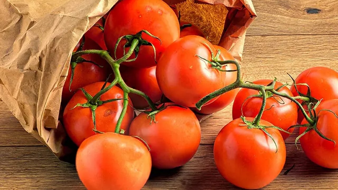 Foto - Sıcak çorba, klasik güzel bir sofra çorbası: Domatesle yapılıyor! Sizde bunu yapın destek olacak!