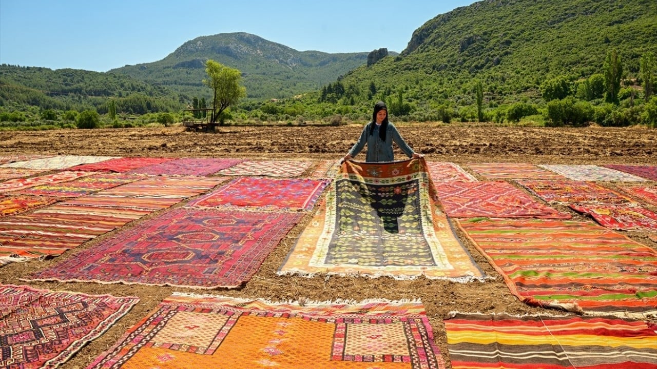 Foto - Sıcaklarla dönüşüm başladı Buğday ektikleri tarla halıya döndü