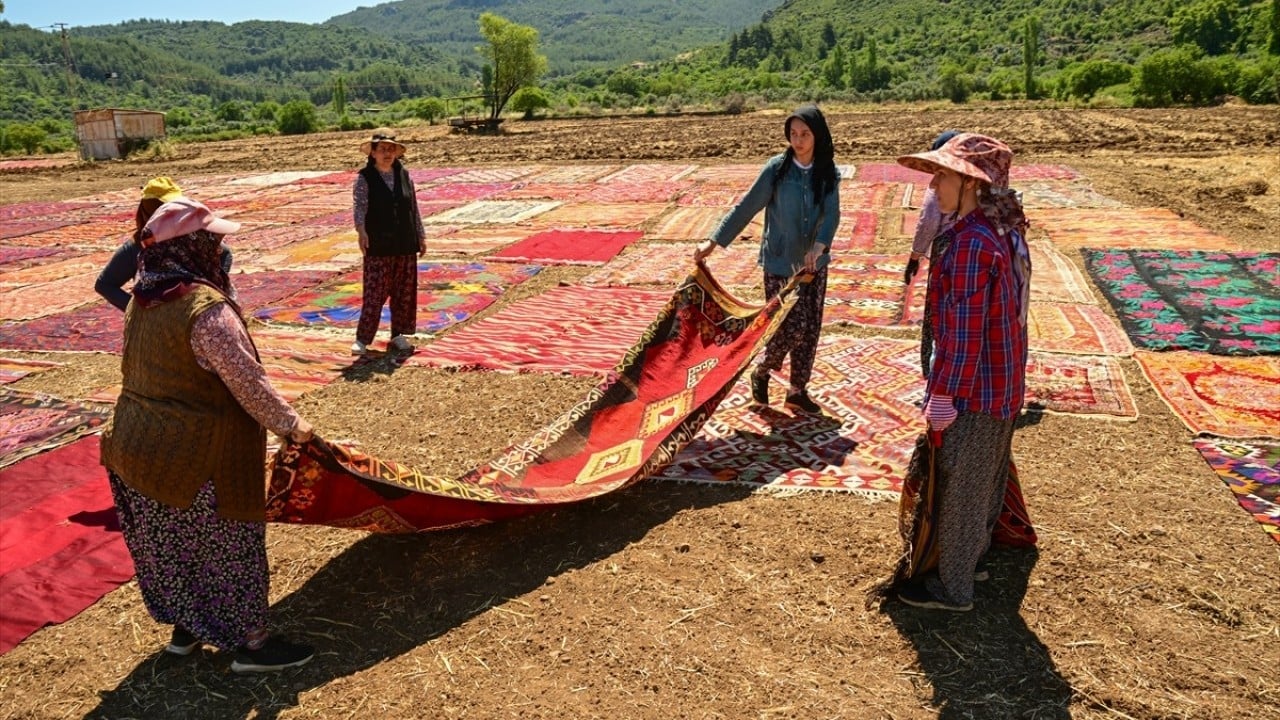 Foto - Sıcaklarla dönüşüm başladı Buğday ektikleri tarla halıya döndü