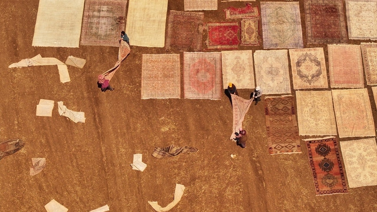 Foto - Sıcaklarla dönüşüm başladı Buğday ektikleri tarla halıya döndü