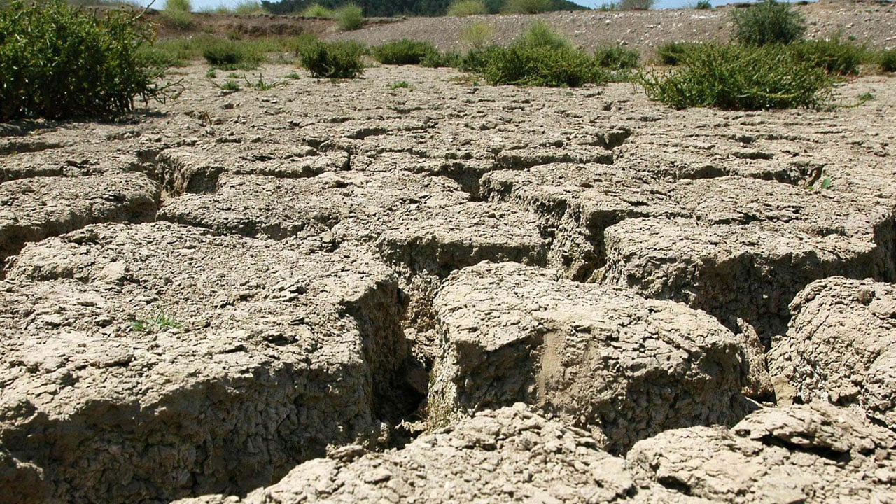 Foto - Sıcaklık alarmı verildi! İzmir’de bu yaz kolay geçmeyebilir