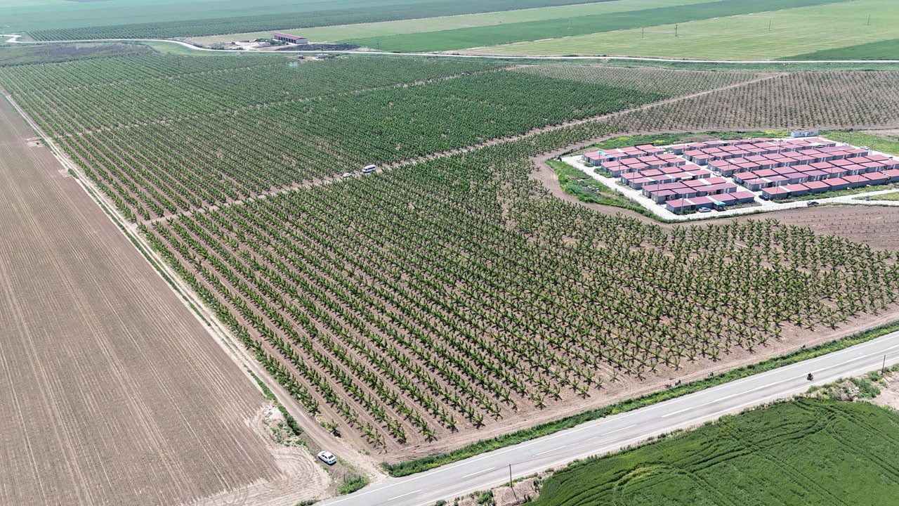 Foto - Sıcakta zorlu mesai başladı! Günlük 1100 TL yevmiyeyle çalışıyorlar