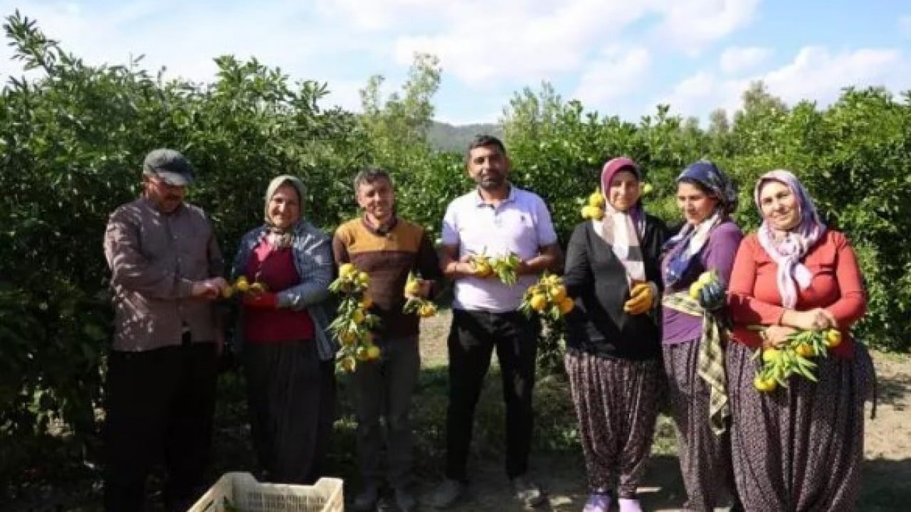 Üreticinin yüzü gülüyor: Kilosu 8 TL'ye kadar düştü!