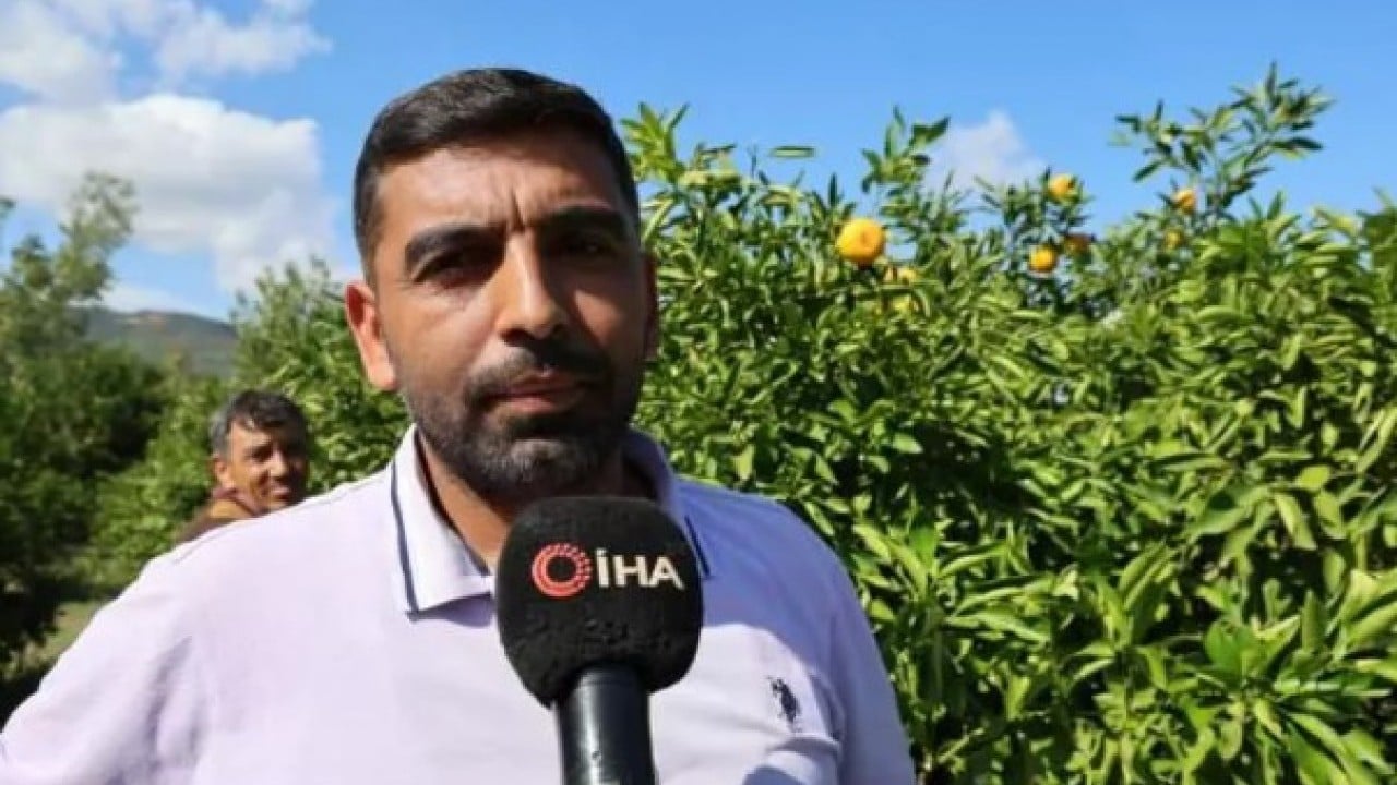 Foto - Üreticinin yüzü gülüyor: Kilosu 8 TL'ye kadar düştü!