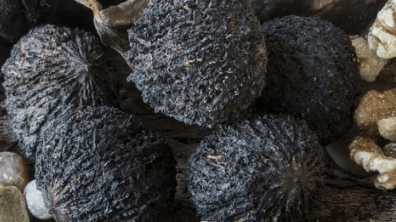 Foto - Şifa deposu olan 'kara ceviz'in faydalarını duyunca çok şaşıracaksınız! Normal cevize göre..