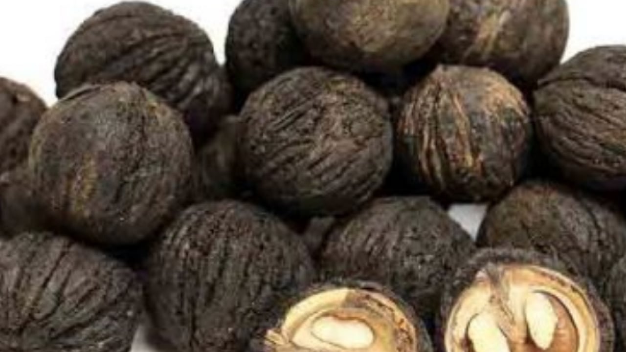Foto - Şifa deposu olan 'kara ceviz'in faydalarını duyunca çok şaşıracaksınız! Normal cevize göre..