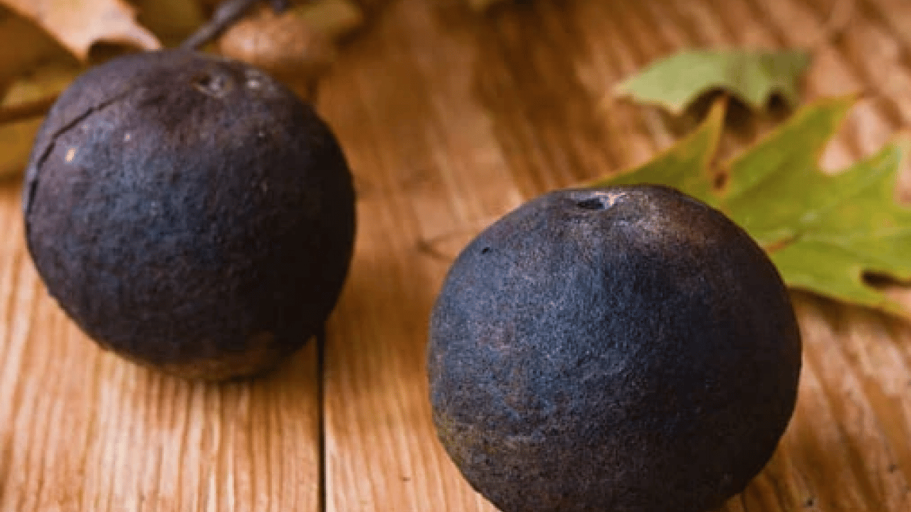 Foto - Şifa deposu olan 'kara ceviz'in faydalarını duyunca çok şaşıracaksınız! Normal cevize göre..