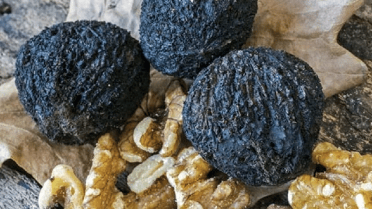 Foto - Şifa deposu olan 'kara ceviz'in faydalarını duyunca çok şaşıracaksınız! Normal cevize göre..