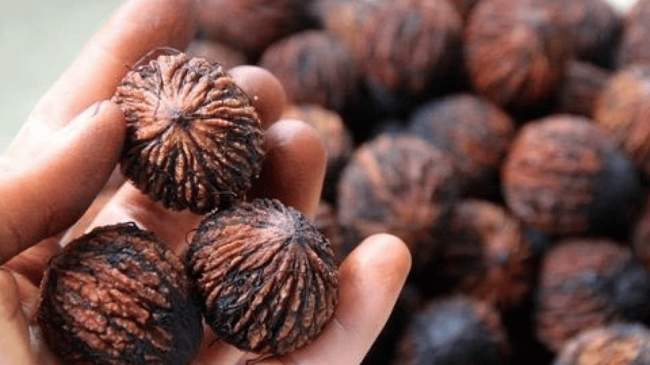 Foto - Şifa deposu olan 'kara ceviz'in faydalarını duyunca çok şaşıracaksınız! Normal cevize göre..